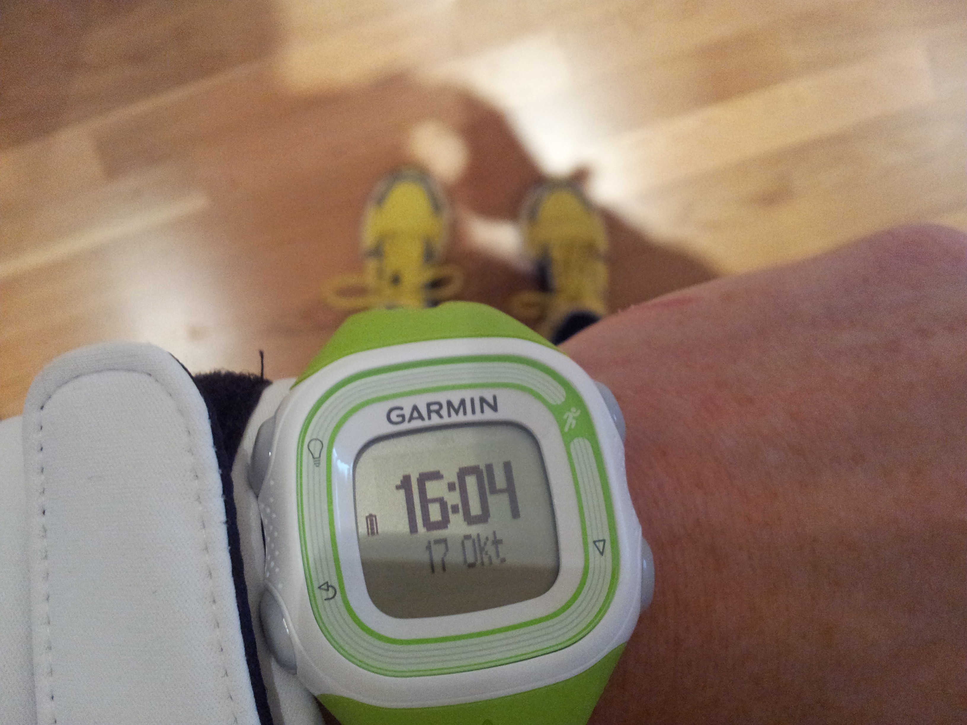 forerunner 10 bluetooth