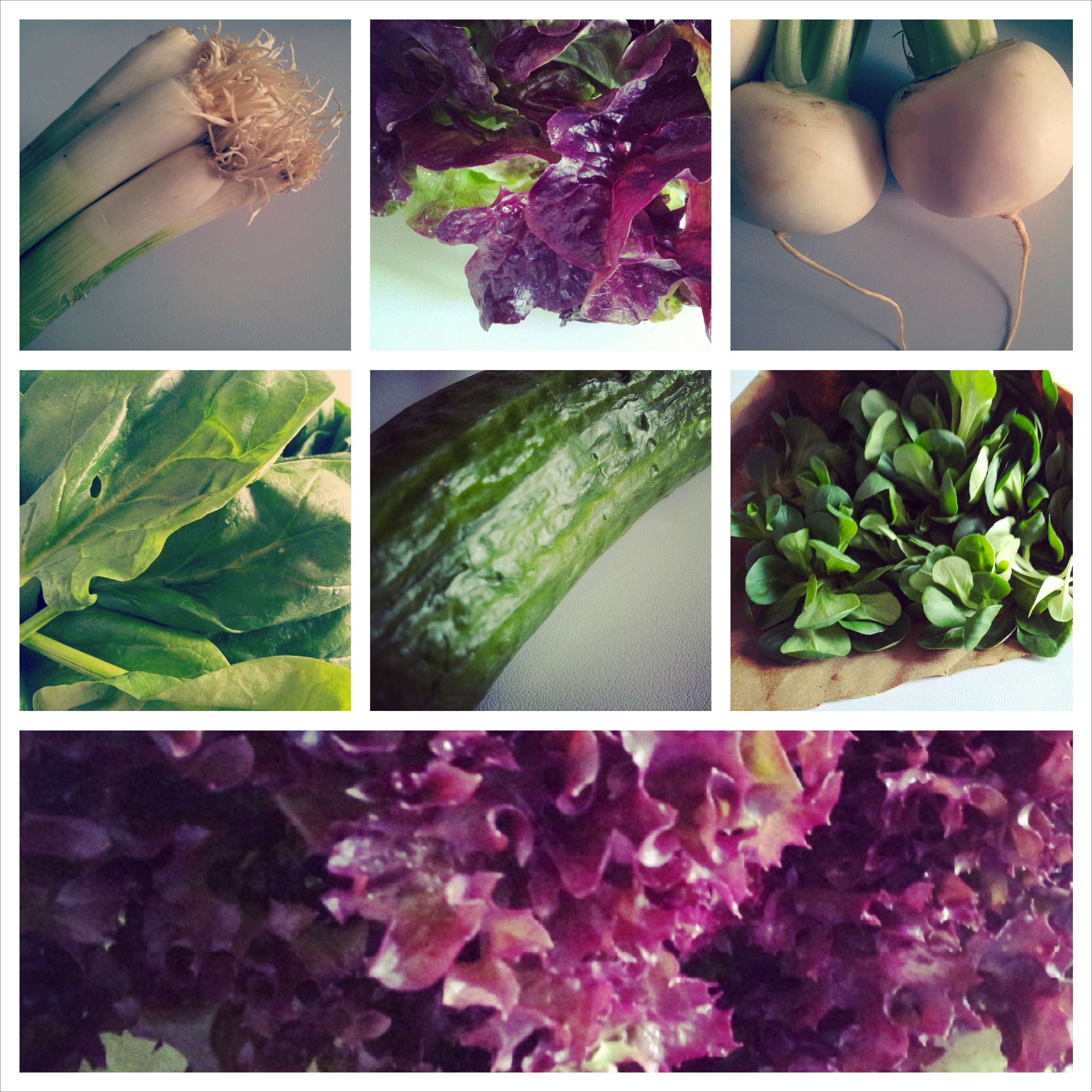 Salat und Gemüse