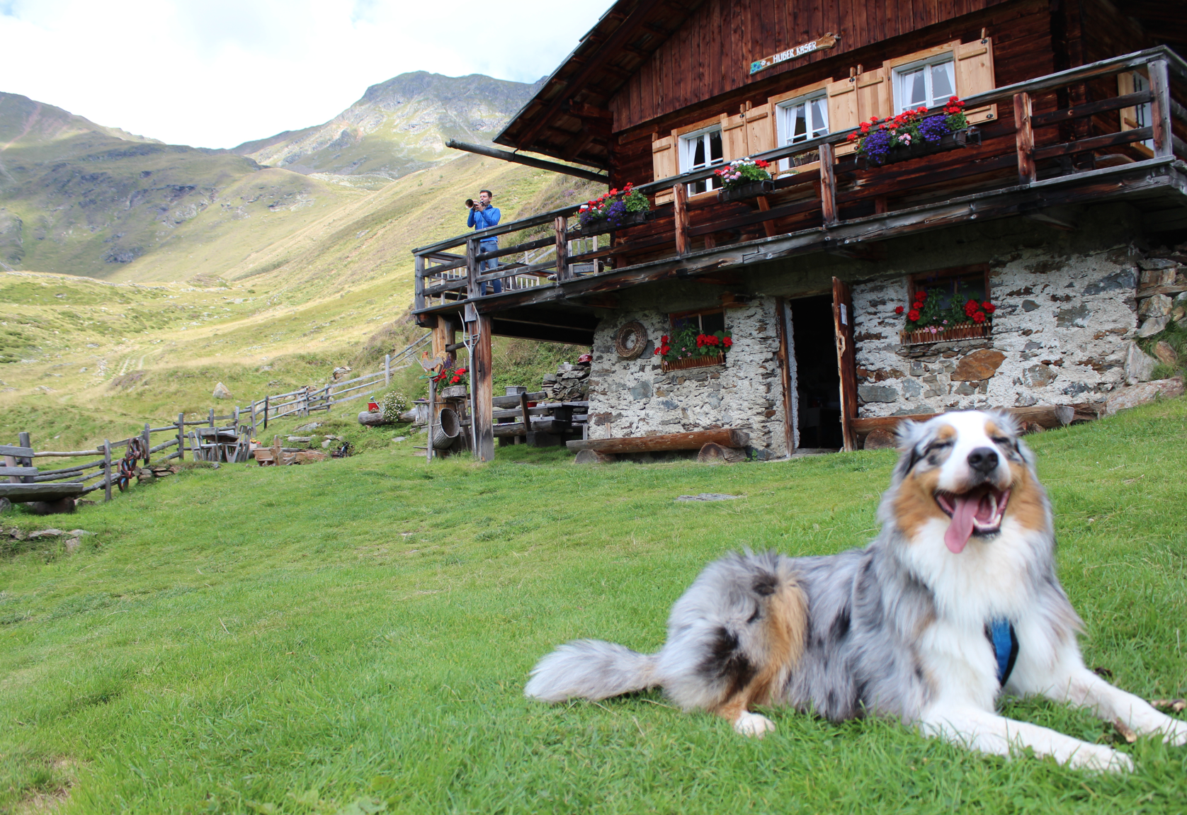 25 Osttirol Dein Berg Tirol Wandern mit Hund zur Huber Kaser Almhütte