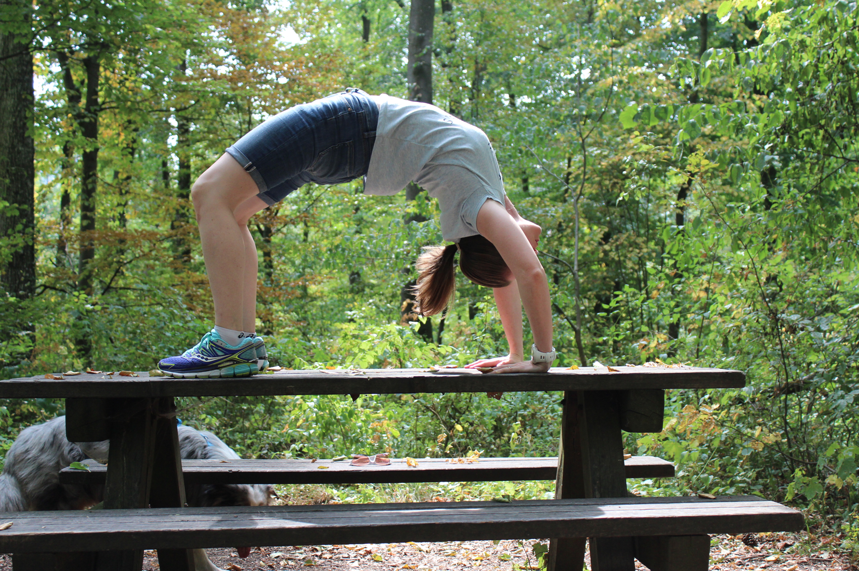 50 Yoga Rad auf Tisch Outdoor Wald