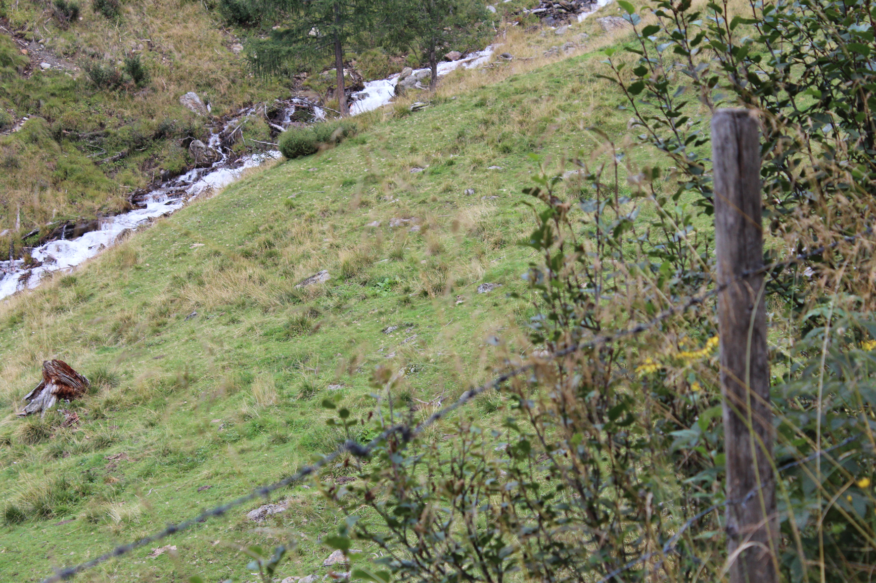 7 Natur Osttirol
