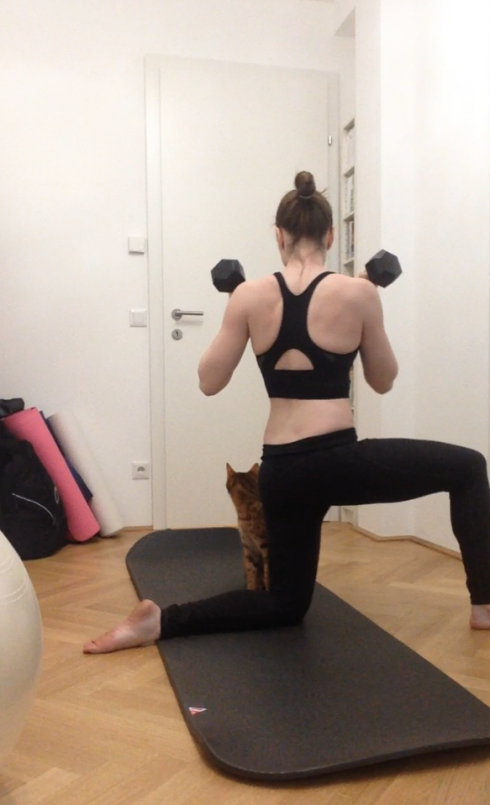 17 Abendtraining Home Gym Airex Matte Hanteln Workout mit Katze