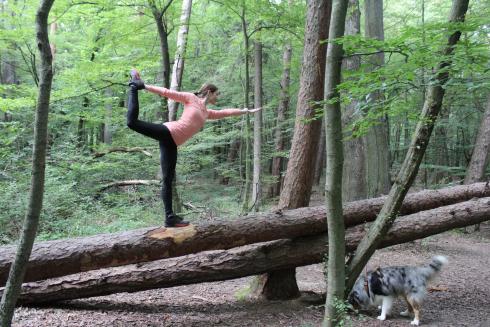 Tänzer auf Baumstamm Yoga im Wald