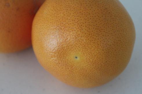 16-grapefruit