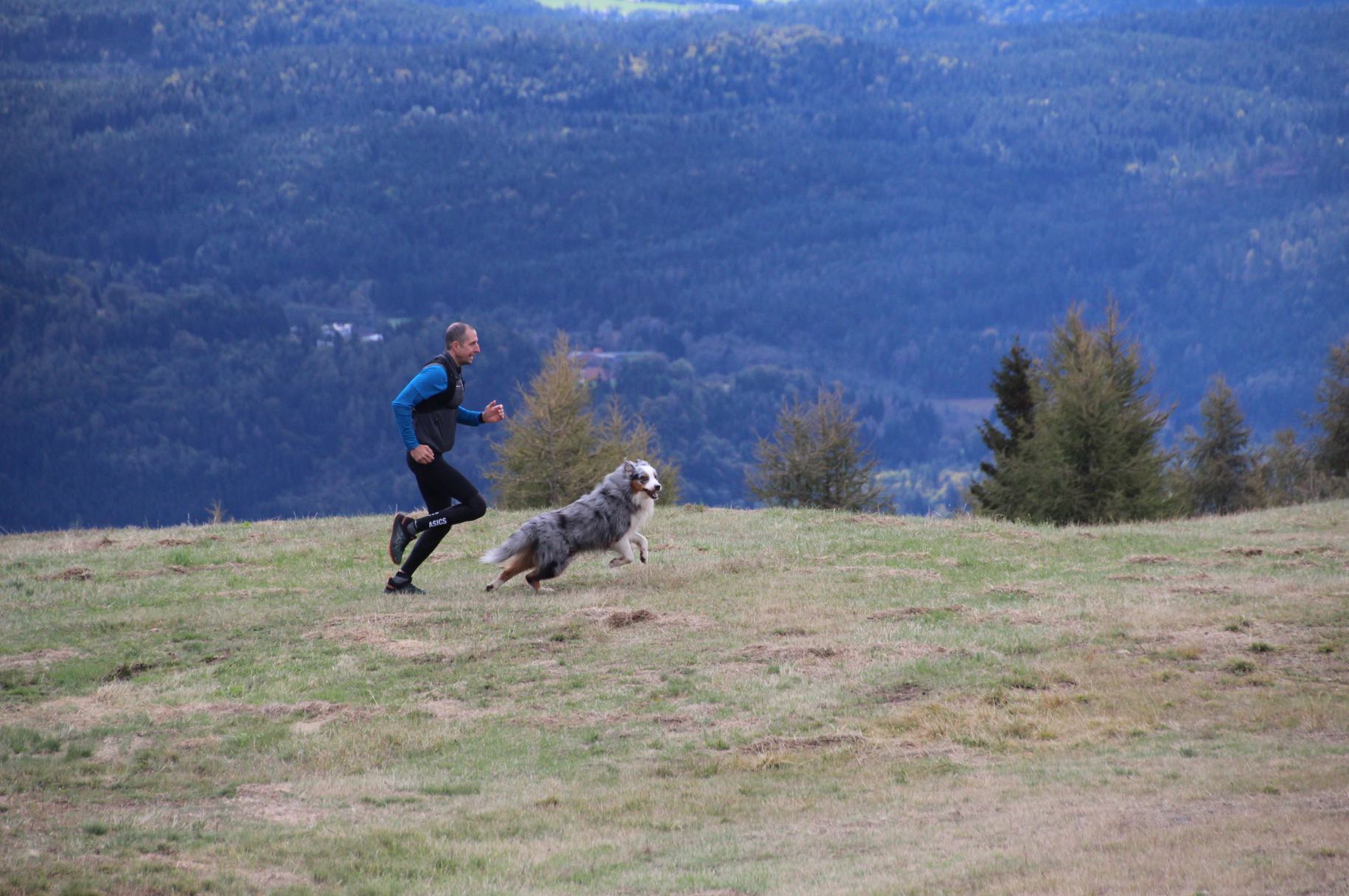 Unsere Trailrunning Favoriten - diegesundheitsexperten