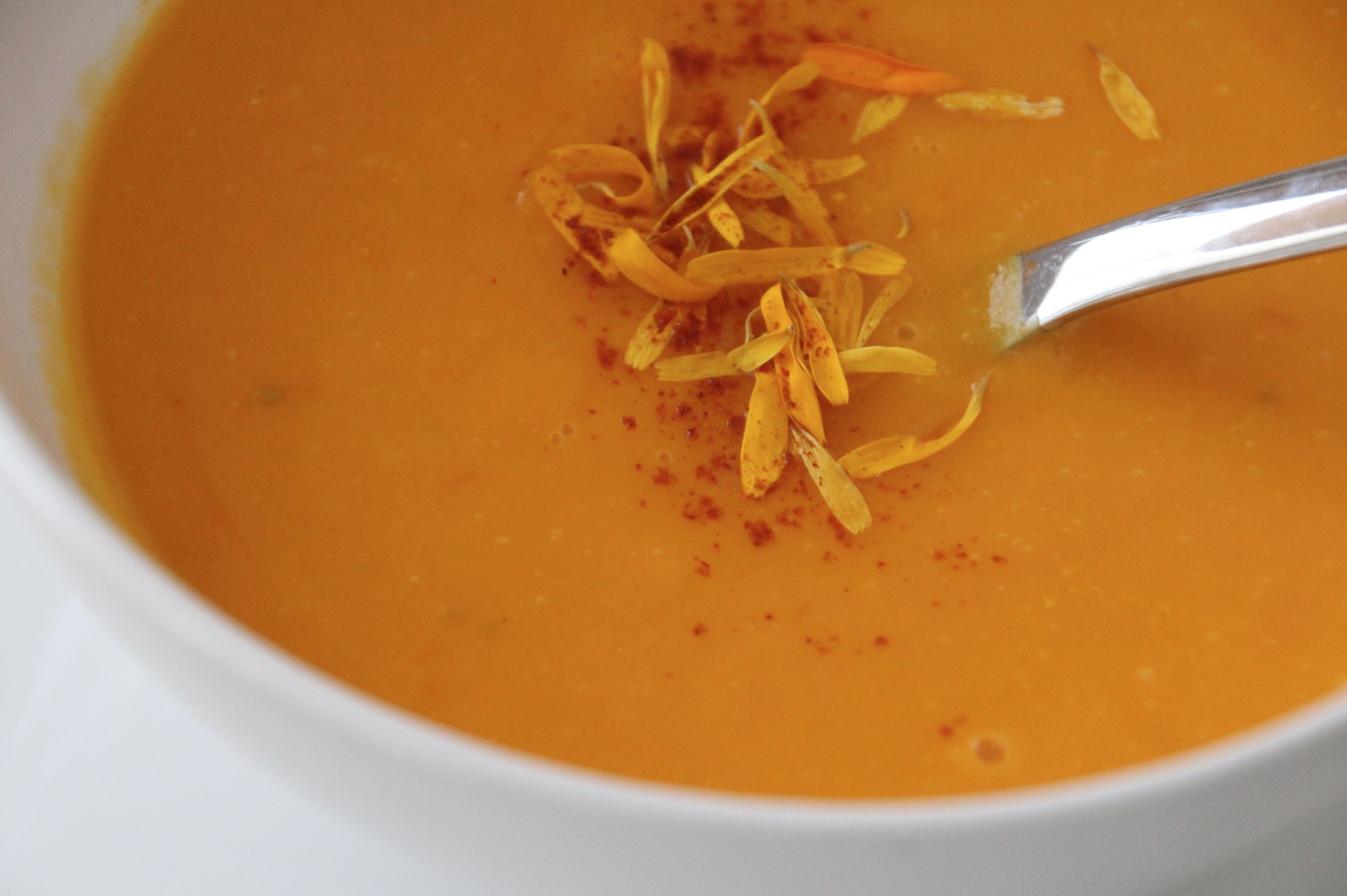 Rezept: Cremige Kürbissuppe - so pur wie möglich - diegesundheitsexperten