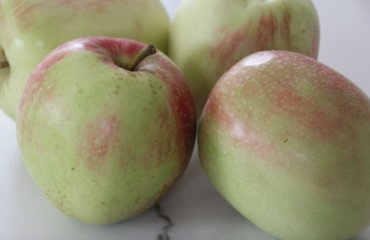 Herbst Äpfel Obst gesund