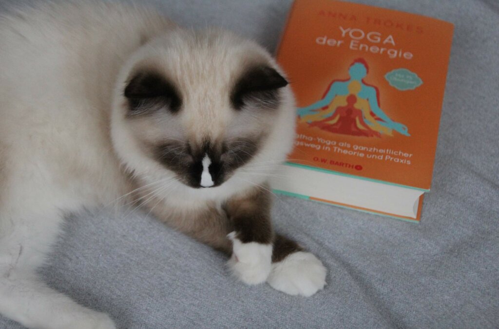 Yogabuch Anna Trökes Yoga der Energie