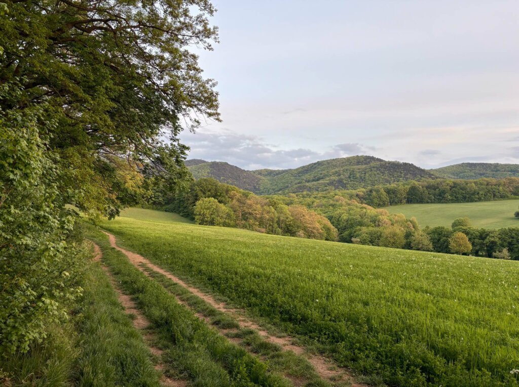 Natur Grounding Tipps Entschleunigung Entstressen