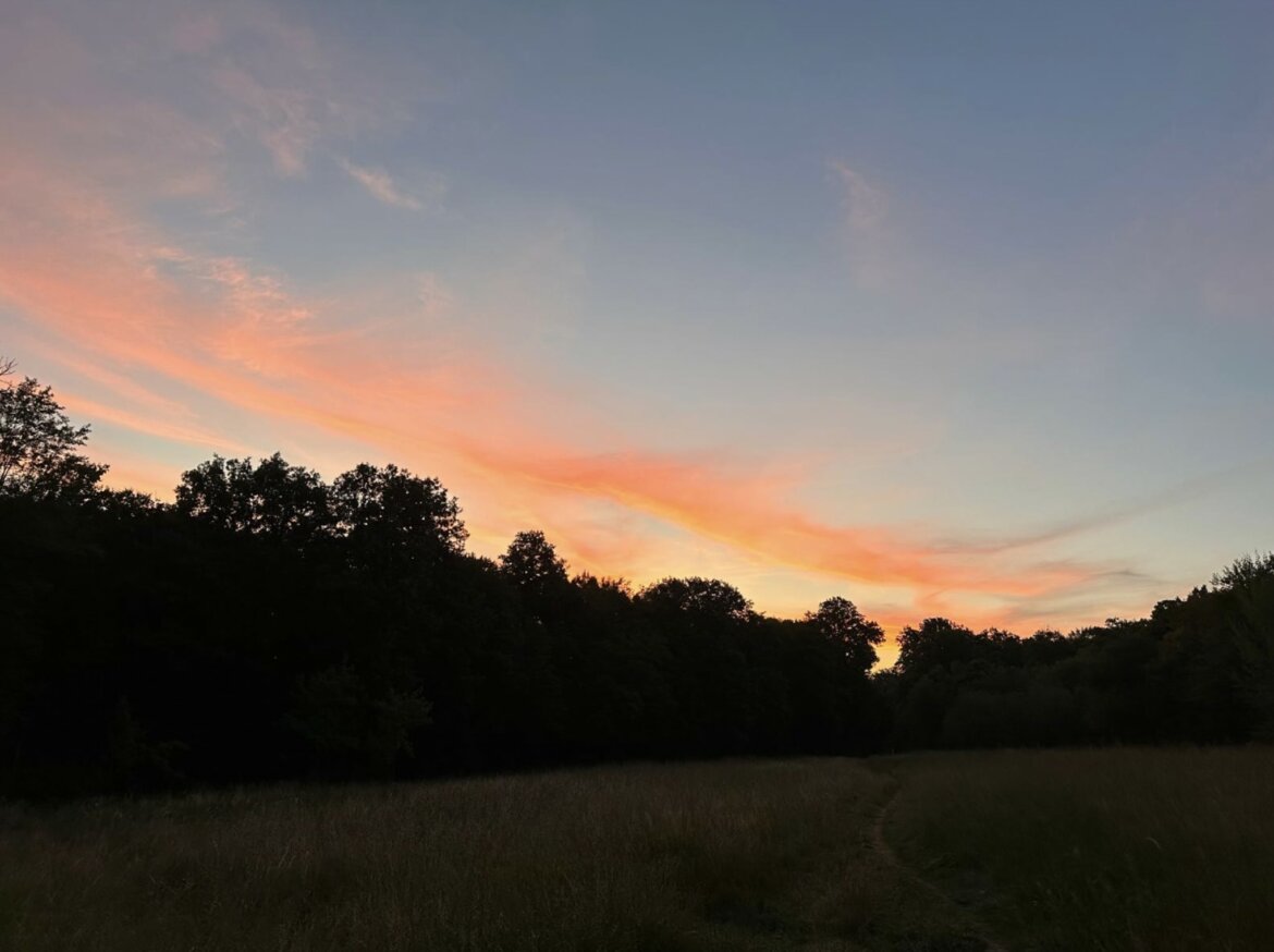 Himmel Bäume Naturschauspiel