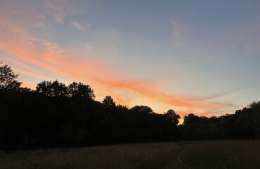 Himmel Bäume Naturschauspiel